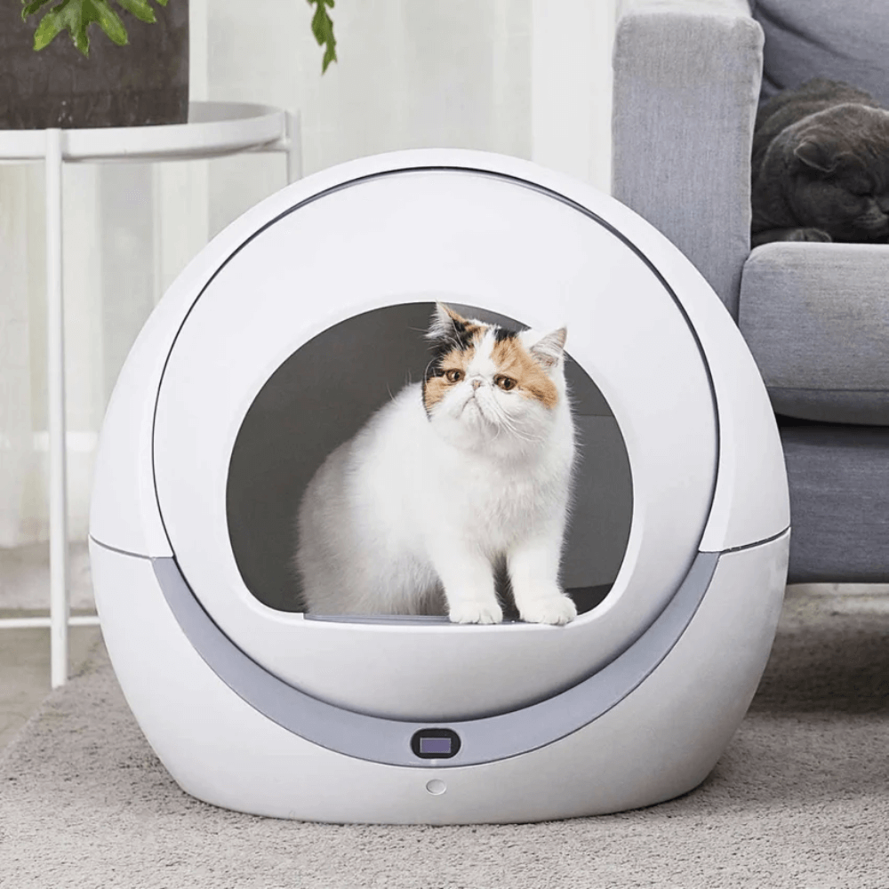 ห้องน้ำเเมวแบบอัตโนมัติ พร้อม WIFI THAI SUN SPORT รุ่น PET0038